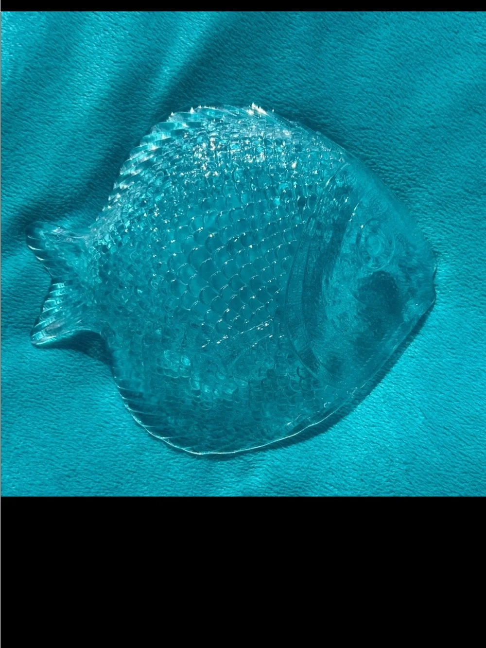 Clear Glass Fish-Shaped Aquarium Decor Appetizer/Salad Plates - Clear set of 6